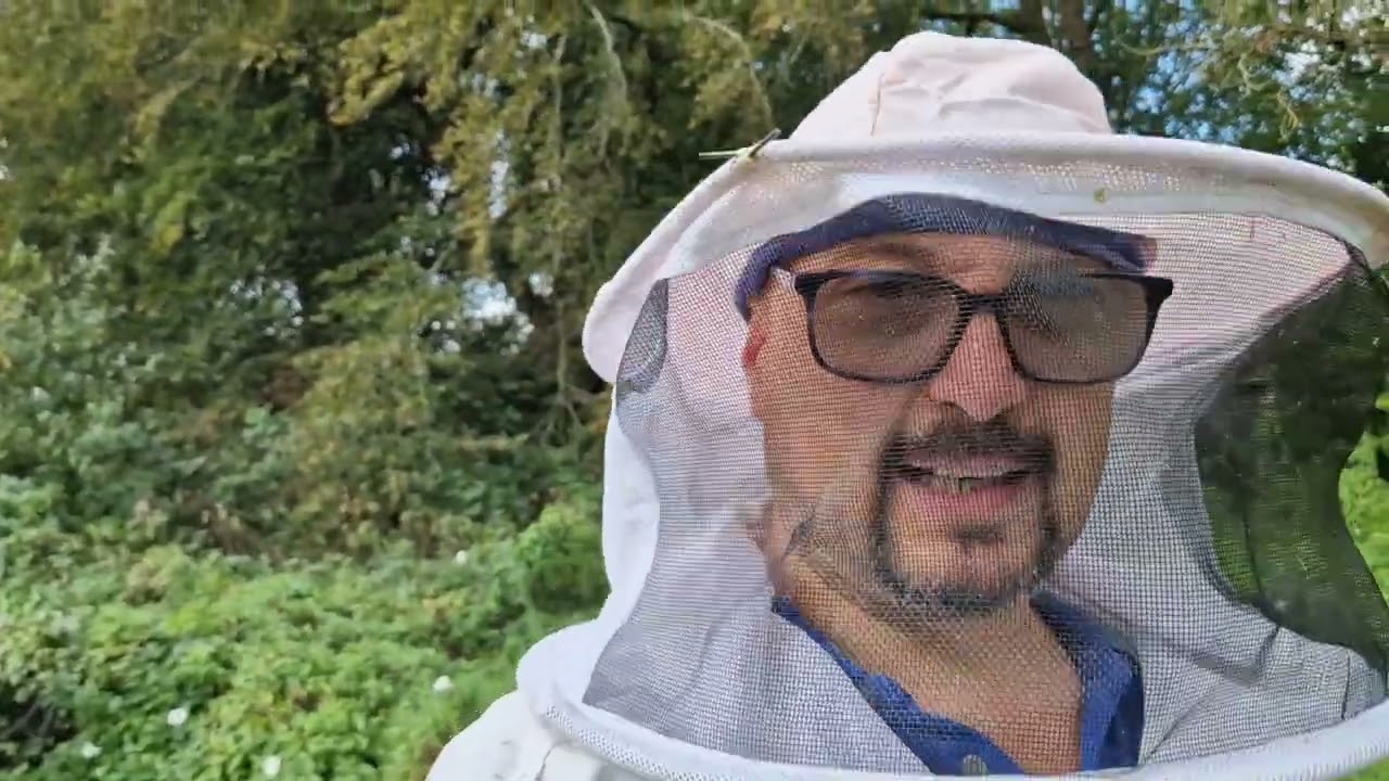 87.2023. Metoda mea de iernare a reginelor de rezervă.