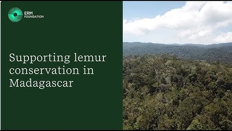 The ERM Foundation_Supporting lemur conservation in Madagascar