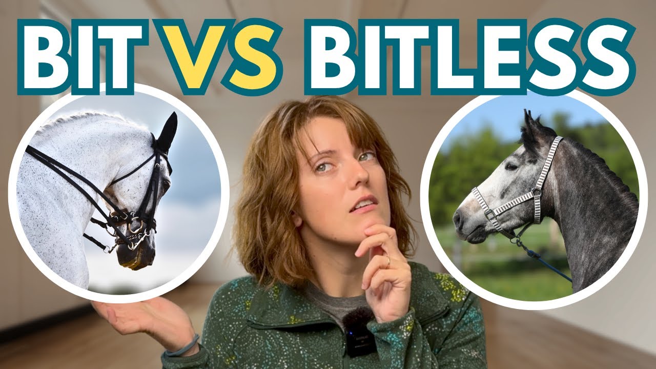 Bit VS Bitless: Which Is Better? - YouTube