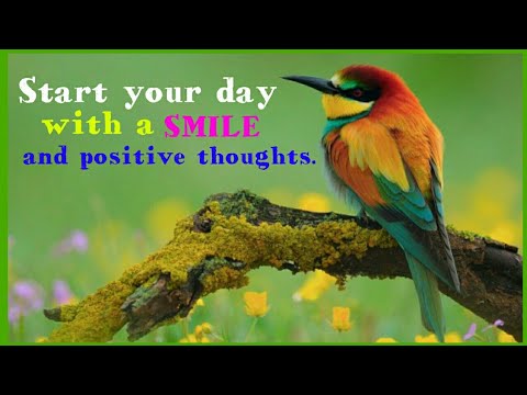Best Motivational Quotes, Motivational Video with English Subtitle, Morning WhatsApp Status Video