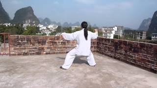 Master Huang Chen Tai Chi 6 Duan Demo In On The Roof Of Huang Hua Taij Academy China