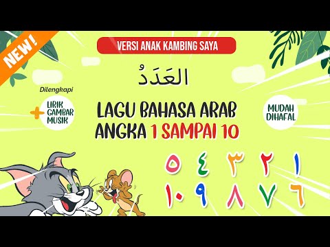 Video: Dalam persekitaran berbilang bahasa?