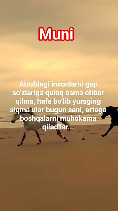 Qattiq xorlash porno onlayn Yapon ayollari bilan eng yaxshi onlayn porno