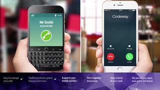 BT Cloud Voice Guide (HM) screenshot 5