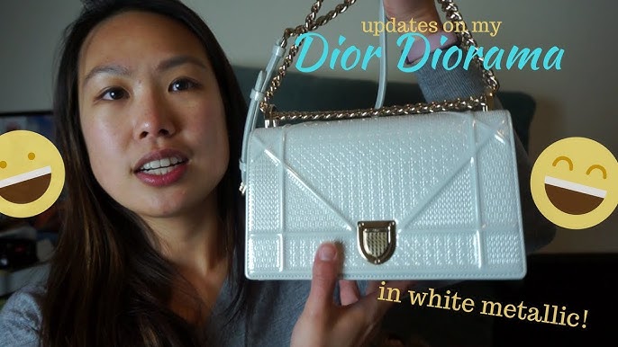 Christian Dior Silver Diorama Micro Cannage Medium Bag – The Closet