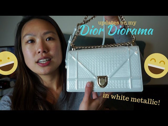 Everything Behind Dior Diorama Bag – l'Étoile de Saint Honoré