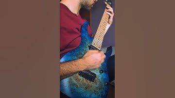 MESHUGGAH - Born In Dissonance (dat riff cover)