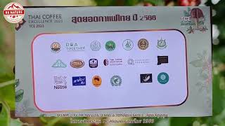 ให้การสนับสนุนและร่วมการประมูล 10 สุดยอดกาแฟไทย 2566