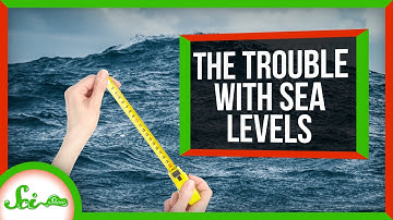 The Ridiculous Reasons It