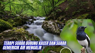 SUARA GEMERICIK AIR MENGALIR UNTUK TERAPI BURUNG || TERAPI BURUNG KACER AGAR RAJIN BUNYI