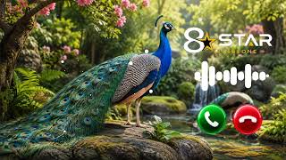 Peacock messag ringtone#smsringtone#viralringtone2026#messageringtone#notificationringtone#sms  screenshot 1