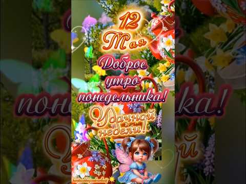 С добрым утром понедельника, мои хорошие! 🥰 Удачной Вам недели!☀️🦋🌿#доброеутро #рекомендации