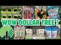 New at dollar tree  shocking new finds at dollar tree