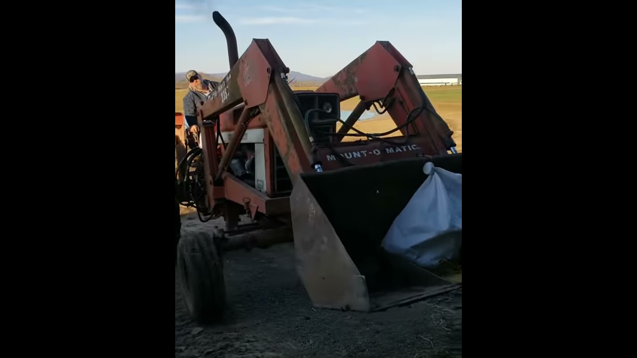 International 966
