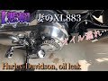 #64 【悲報】妻の883オイル漏れ…Harley-Davidson, leaking gear oil