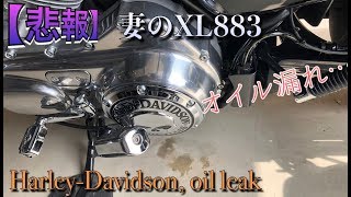 #64 【悲報】妻の883オイル漏れ…Harley-Davidson, leaking gear oil