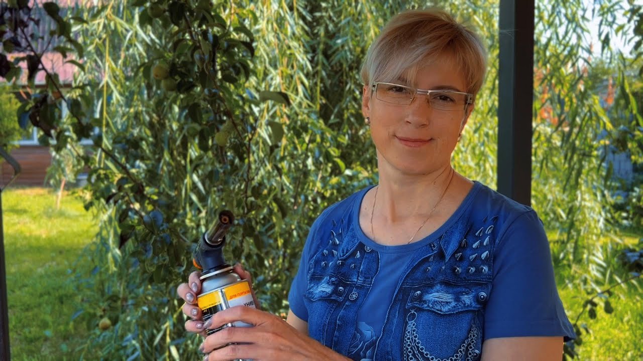 На кухне у ветеринара дзен