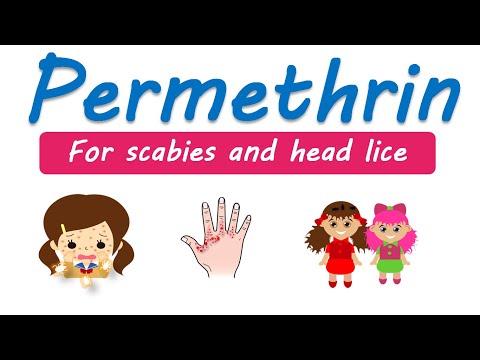 Permethrin cream and lotion for scabies and head lice