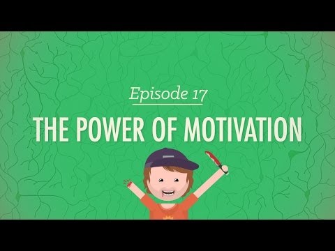 The Power Of Motivation: Crash Course Psychology #17