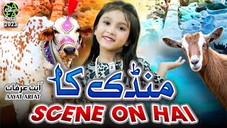 Mandi Ka Scene On Hai || Aayat Arfat || New Mandi Song 2023 || Official Video || Safa Islamic