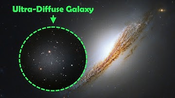 What Makes Ultra Diffuse Galaxies (UDGs) Unique?