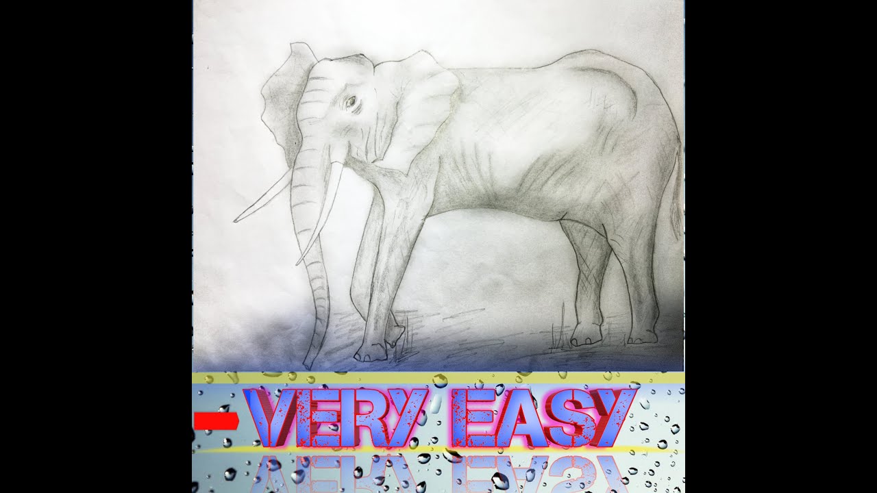 How to draw an elephant easy steps - YouTube