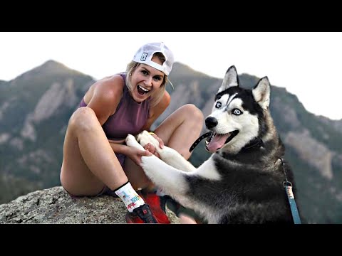 Videó: 8 kutyafajták, amelyek nagyszerű túrázási haverokat alkotnak