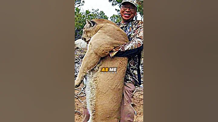 Giant Mountain Lion Freaks Out Joe Rogan