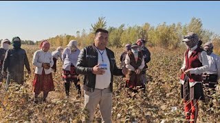 видео: ТЕРИМЧИЛАР НЕГА  картинка: ТЕРИМЧИЛАР НЕГА