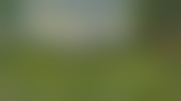 Daggerfall Unity — 216 — Witches Coven Quest — An Expensive Purchase