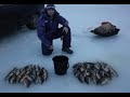 ПРИЕХАЛИ НА ЖЕРЛИЦЫ, а НАЛОВИЛИ ОКУНЯ на ЧЕРВЯ. зимняя рыбалка. FISHING. ice fishing.
