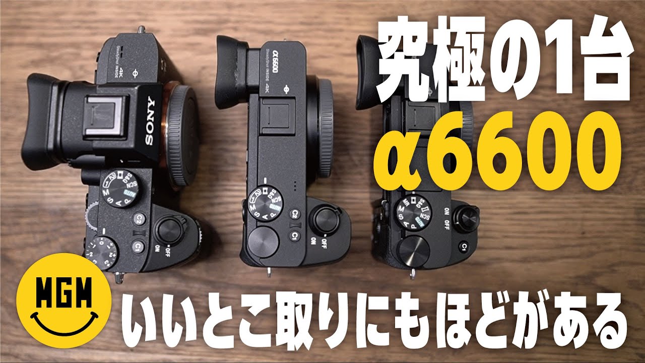 プロの現場からVlogまで！究極の1台！【SONY α6600 ILCE-6600】 - YouTube