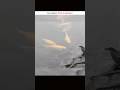 You Watch This First Time!!#shorts #trending