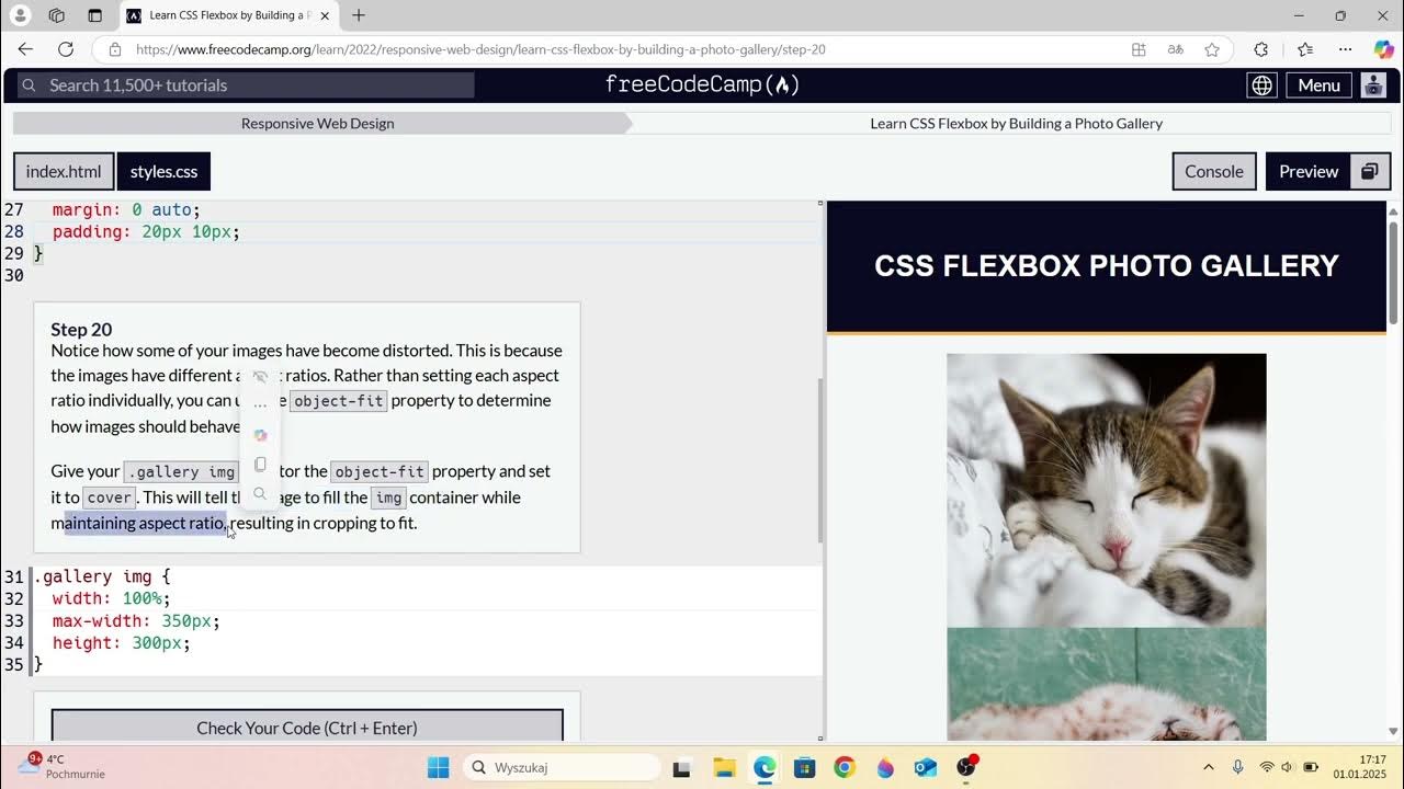 Freecodecamp - Responsive Web Design, learn css flexbox by building a ...