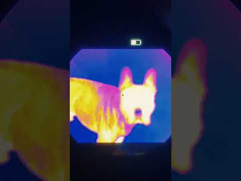 Atibal Nexus- First look