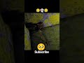 granny Kill 👻💔😨 #short #shorts #gaming #granny #subscribe