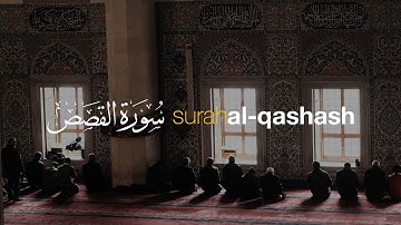 Surah Al-Qasas سورة القصص I Syeikh Hani Ar Rifa'i | Tadabbur Daily