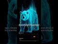 Giant Short-Faced Bear: Monster of the Ice Age!