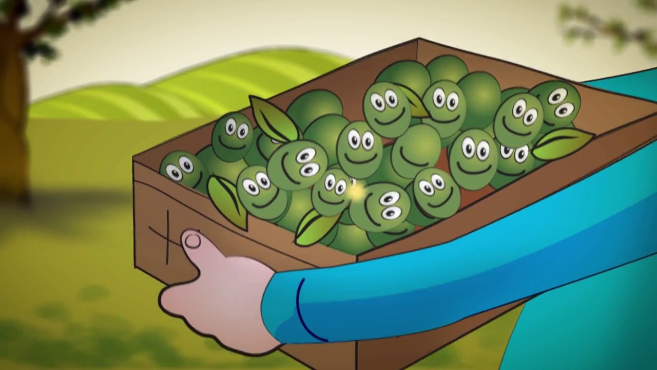 Come nasce Olio Extravergine Italiano Redoro?