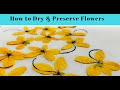 How to Dry and Preserve Real Flowers I How to Press Flowers in a Book for Resin Jewelry I Hindi