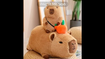 Capybaraaaaa ❤️❤️ #capybara #capybaras #fyp #shorts #short #cute #kawaii