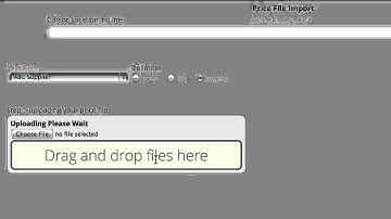 Importing Price Files Into Lizzy