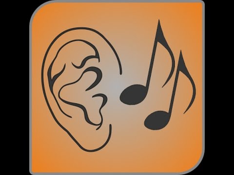 アート・デザイン・音楽 Ear Training vol2 Twelve Basic interval Amazon.com: Linsoul Kiwi Ears Quartet 2DD+2BA Hybrid In-Ear