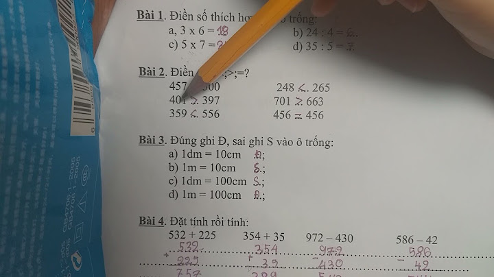 Các bài toán lớp 3 dat tinh roi tinh năm 2024