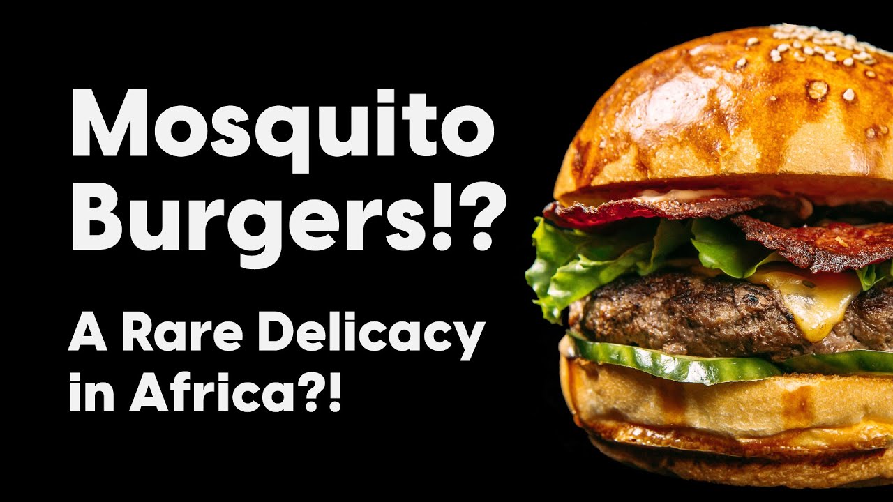 Mosquito Burgers A Rare Delicacy in Africa?! YouTube