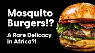 Mosquito Burgers: A Rare Delicacy in Africa?!