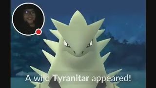 WILD TYRANITAR & POKEMON GO GRASS EVENT LIVE GAMEPLAY!