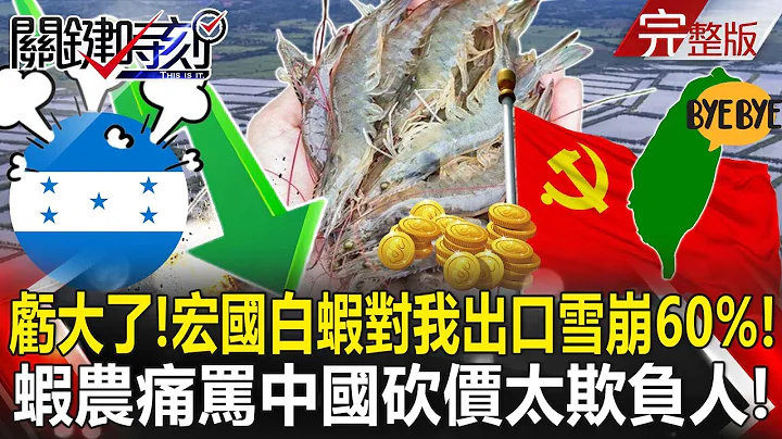 【決戰關鍵全集】20240511 投奔北京虧大了！ 洪都拉斯白蝦對我出口雪崩60% 蝦農痛罵中國砍價太欺負人！｜張炤和 - 天天要聞