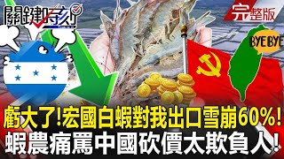 【決戰關鍵全集】20240511 投奔北京虧大了 宏都拉斯白蝦對我出口雪崩60% 蝦農痛罵中國砍價太欺負人張炤和