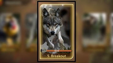 How to get all the treasure in chapter 5 - Wolf Game